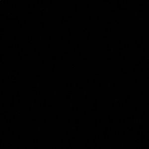 Meet your Posher, Anahi